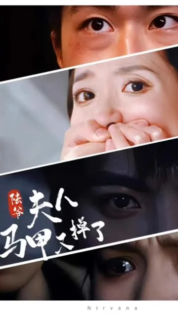 陆爷,夫人马甲又掉了