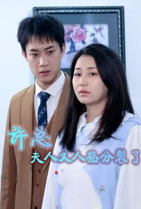 许总,夫人又人格分裂了