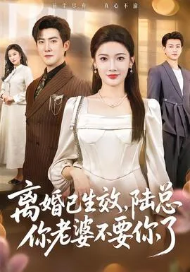 离婚已生效,陆总你老婆不要你了