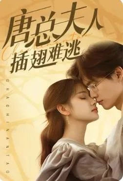 唐总夫人插翅难逃