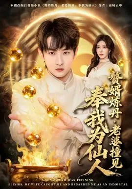 赘婿炼丹,老婆撞见,奉我为仙人