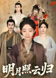 明月照云归