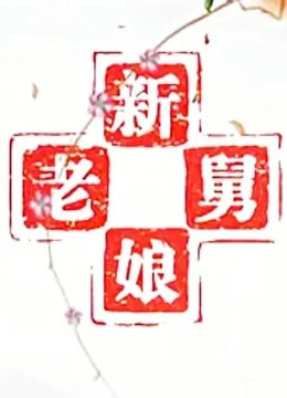 新老娘舅我要问律师